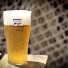 Bicchieri birra o smoothie in policarbonato LECCE